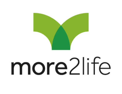 more2life: Getting to a ‘Yes’ decision on lifetime mortgages